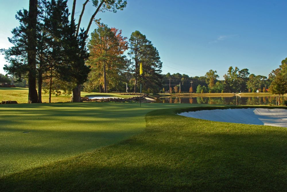 Huntsville Artificial Turf Golf Course