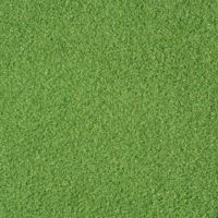 Close up shot of putting green turf.